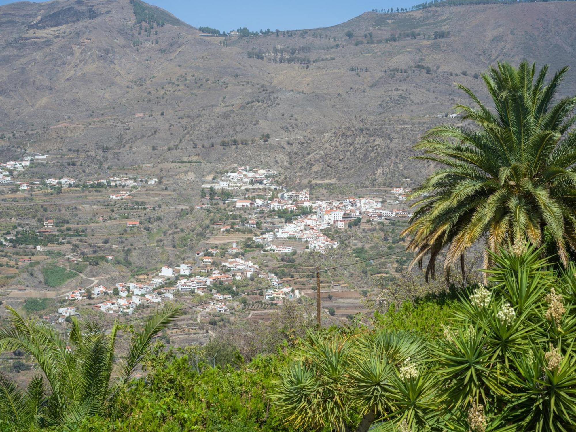Chalets Rurales Bentayga クルス・デ・テヘーダ エクステリア 写真